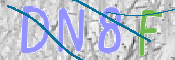 תמונת מבחן-תמונה